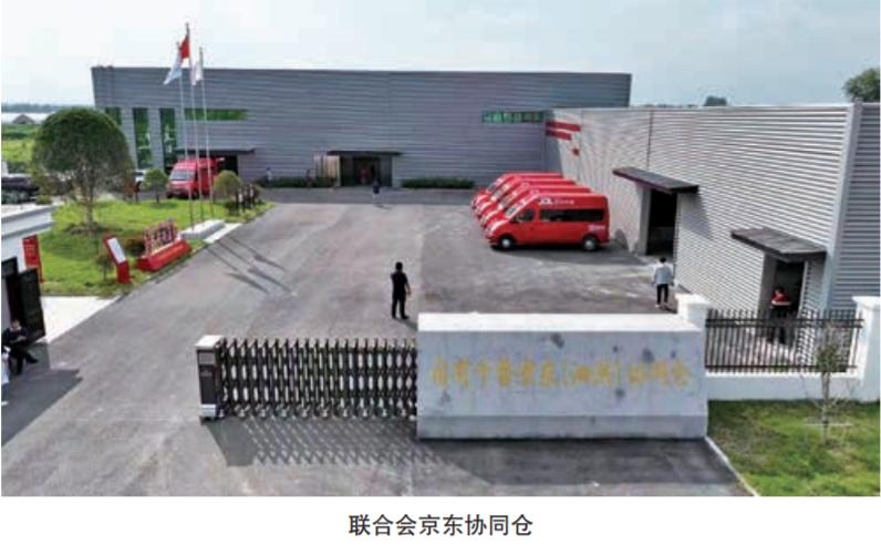 推进农民合作社联合发展,农民合作社创新服务方案