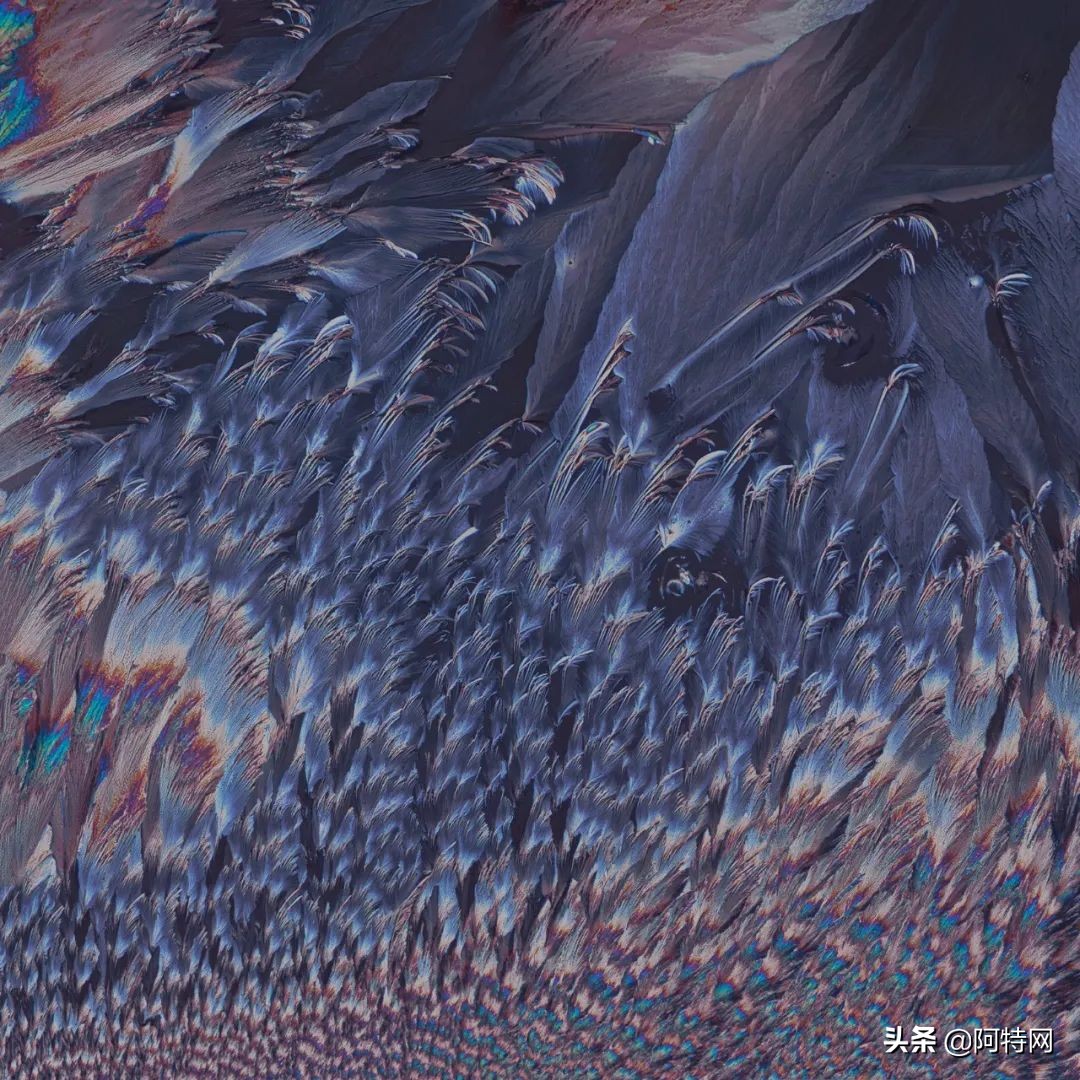 张嘉匀《中国“她”艺术》代表性艺术家