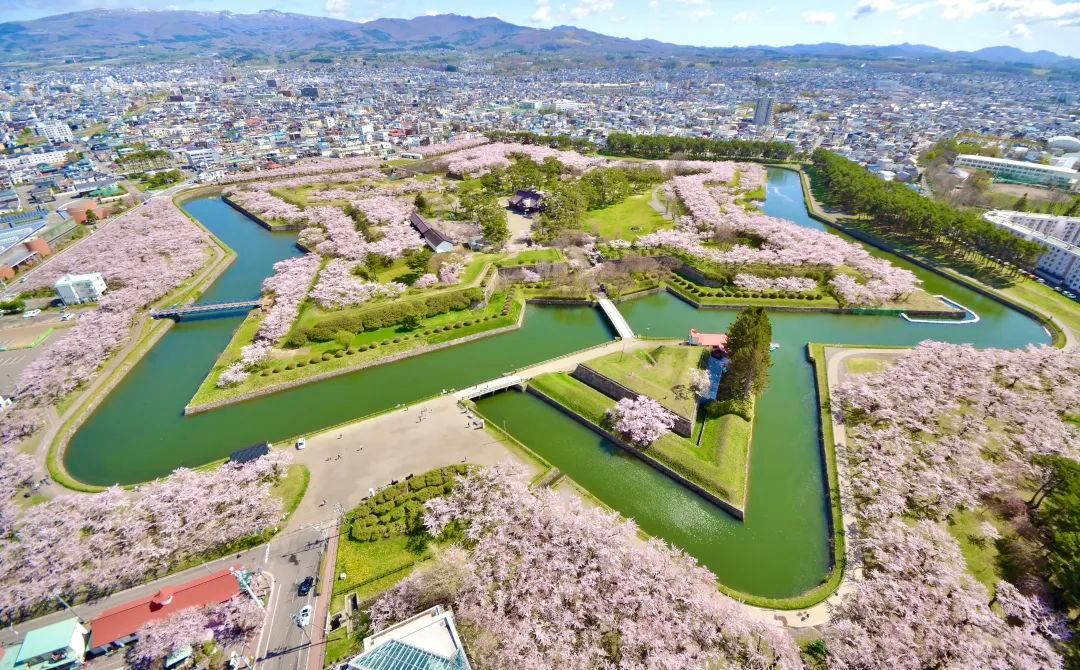 今年日本樱花还能看吗,日本4月底还有樱花看吗