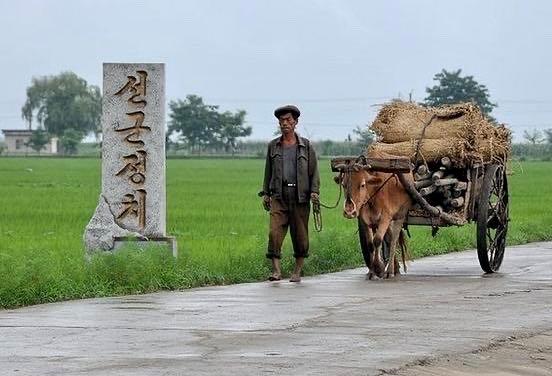 鏈濋矞鎴樹簤鏈熼棿鏈濋矞浼欓,鏈濋矞鎴樹簤鏈濋矞浼欓