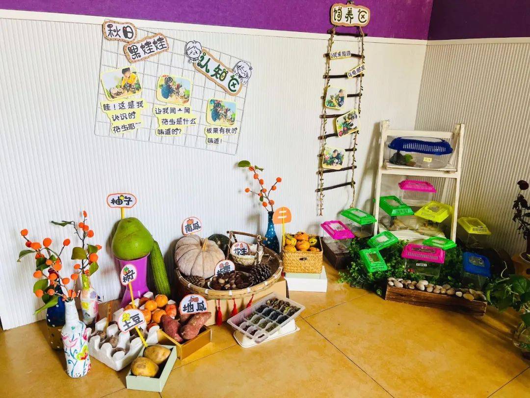 生态环创幼儿园自然角,幼儿园环创自然角实验