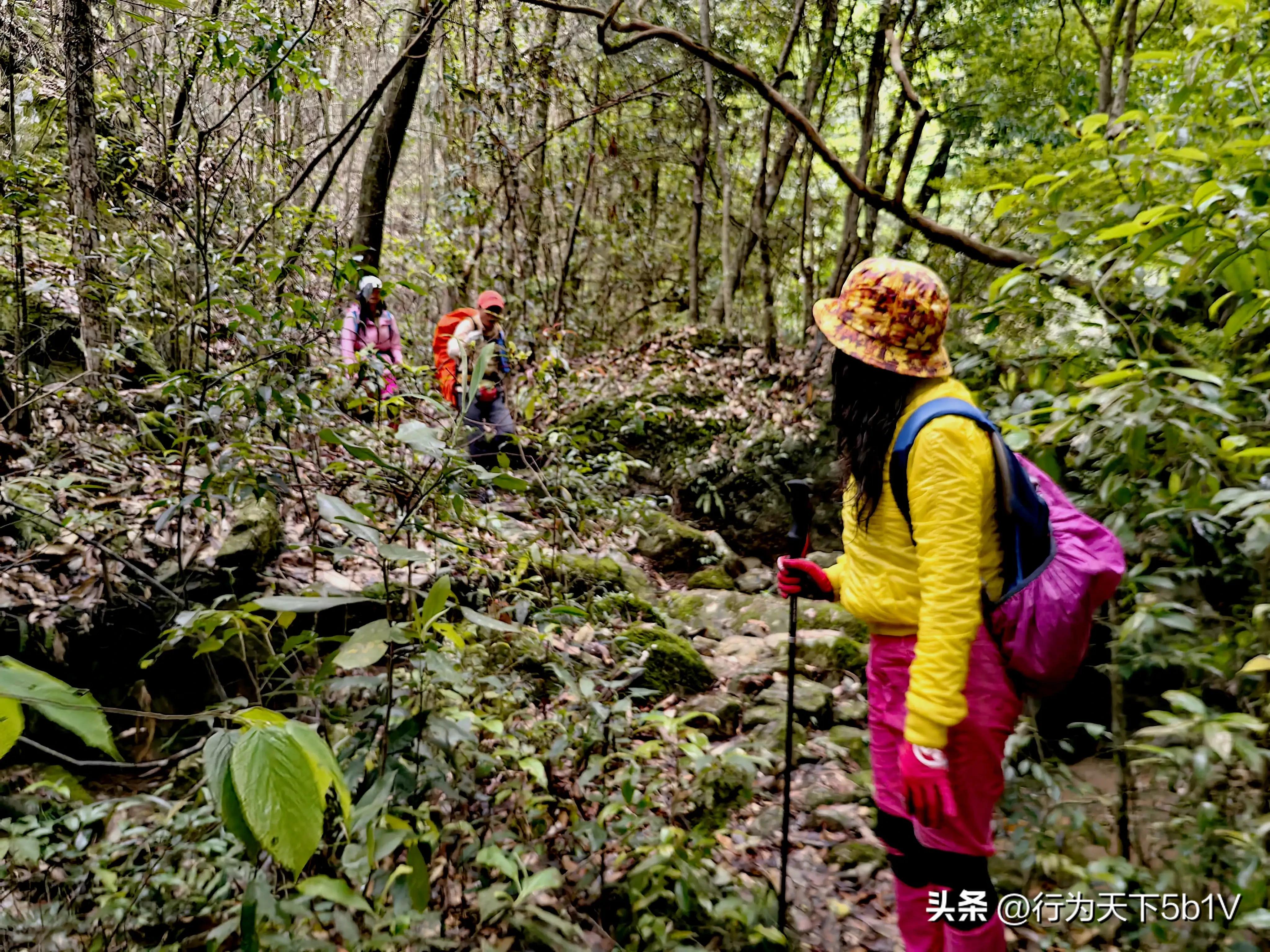【探秘宛田红滩瀑布溯溪梦江吉翁瀑布】穿越花坪神秘风景线