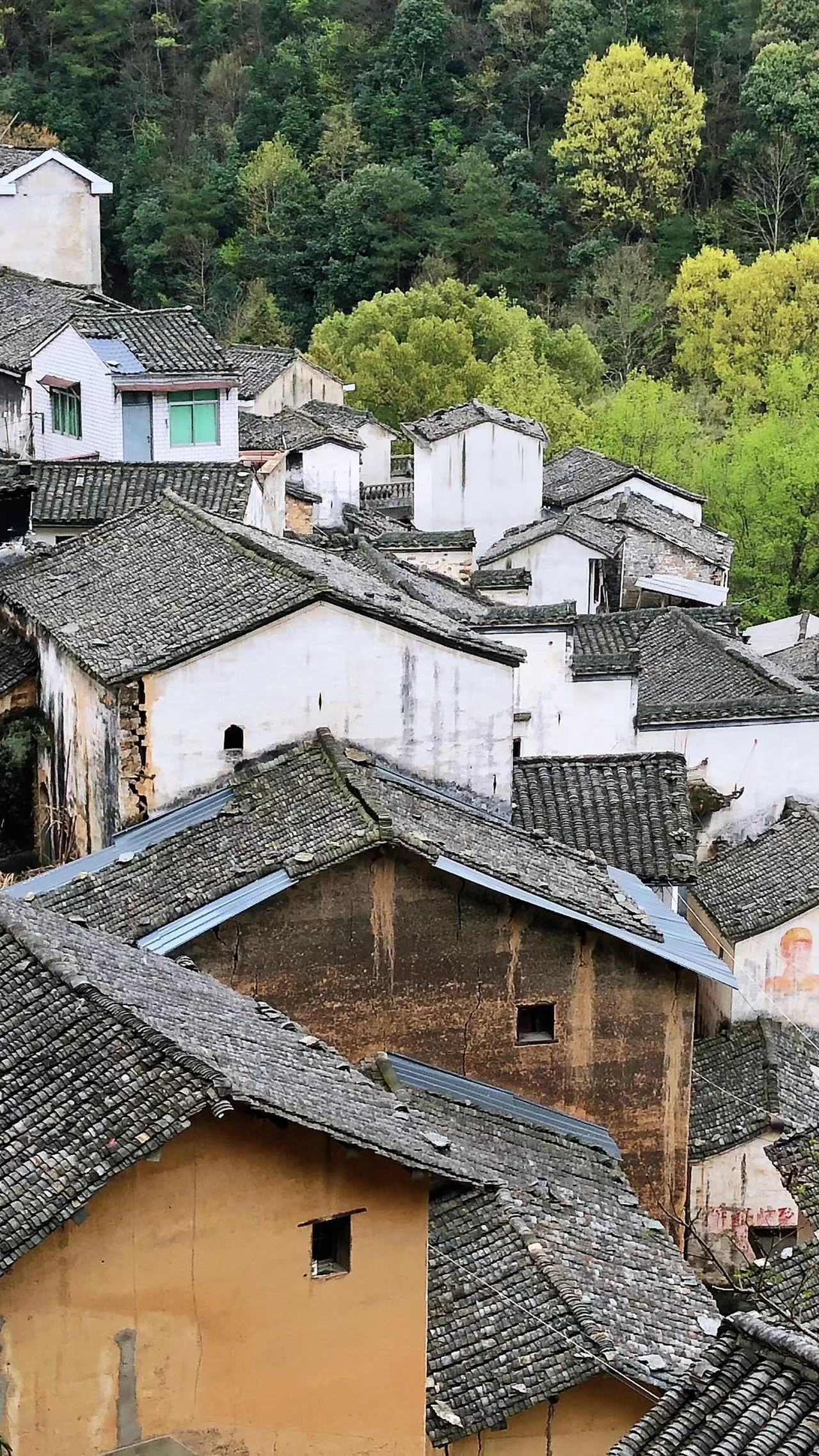 黄山适合隐居的民宿,真实的黄山古村落