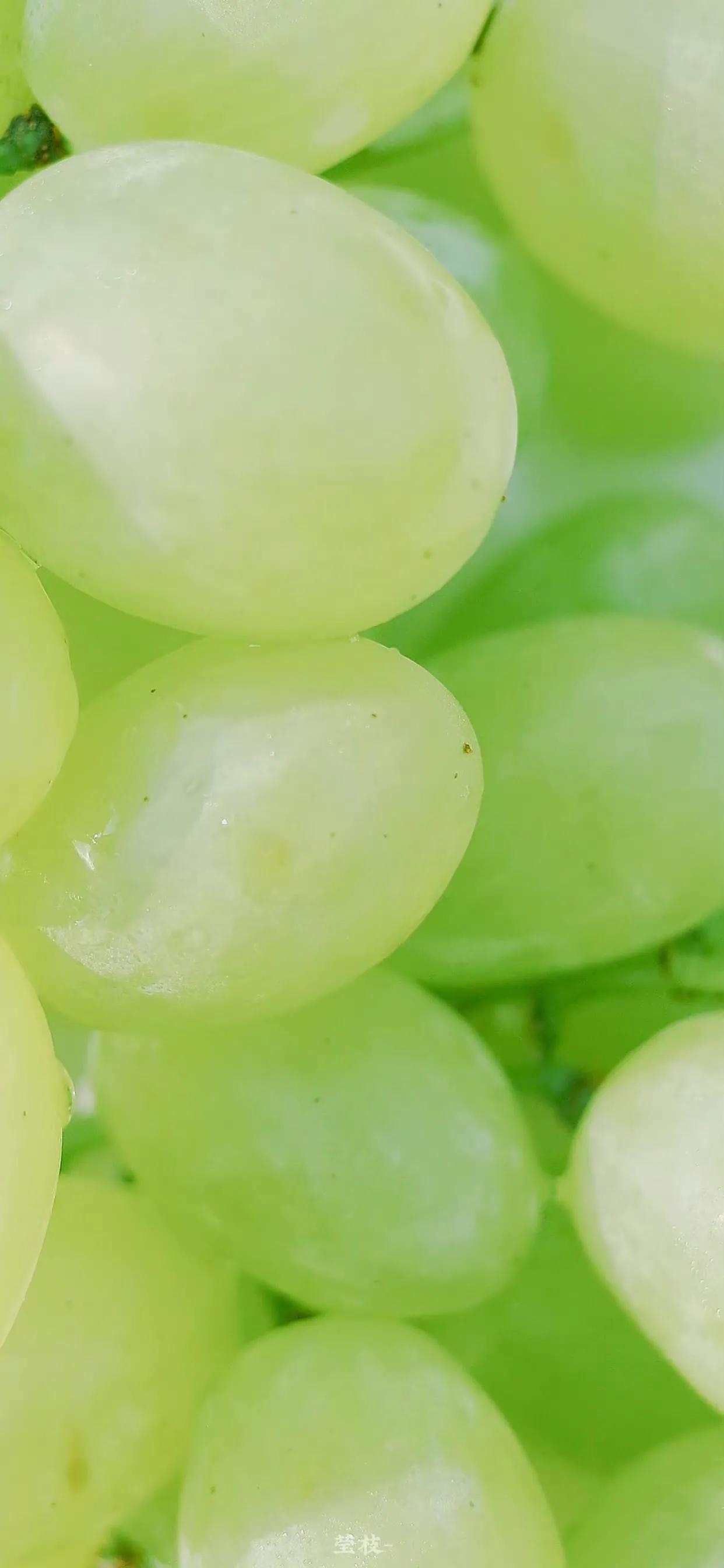 夏季清新凉快的壁纸高清,夏天一看就很凉爽的壁纸