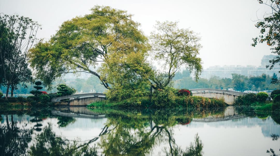 闄嗗啿杩愬姩瑙嗛,闄嗗啿楠戣