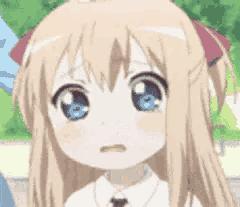 医学类填报志愿技巧,医学类专业填报指南