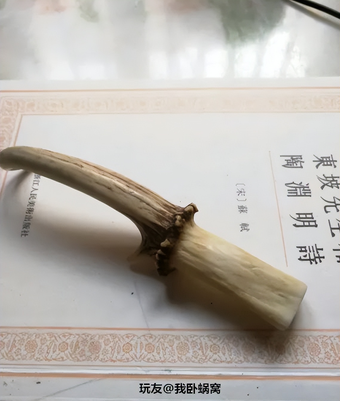 傻狍子角手把件,傻狍子的角掉了还能长出来吗