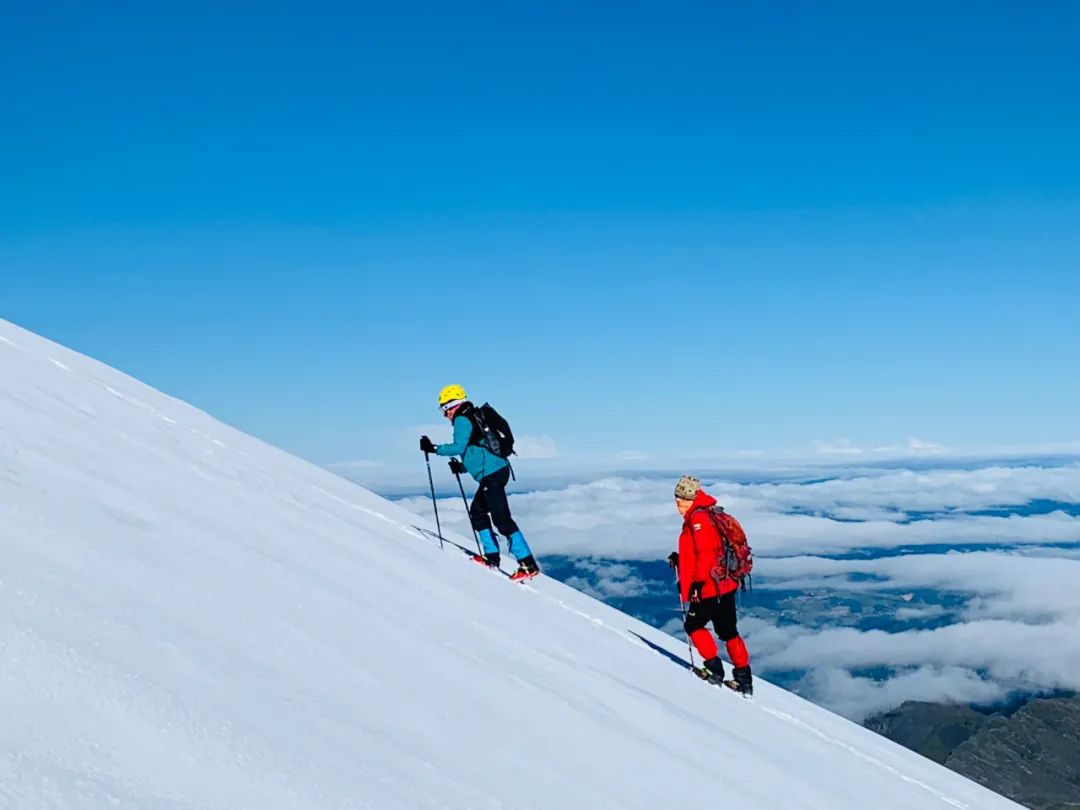 云南西双版纳跨省游最新通知,云南跨省游最新通知