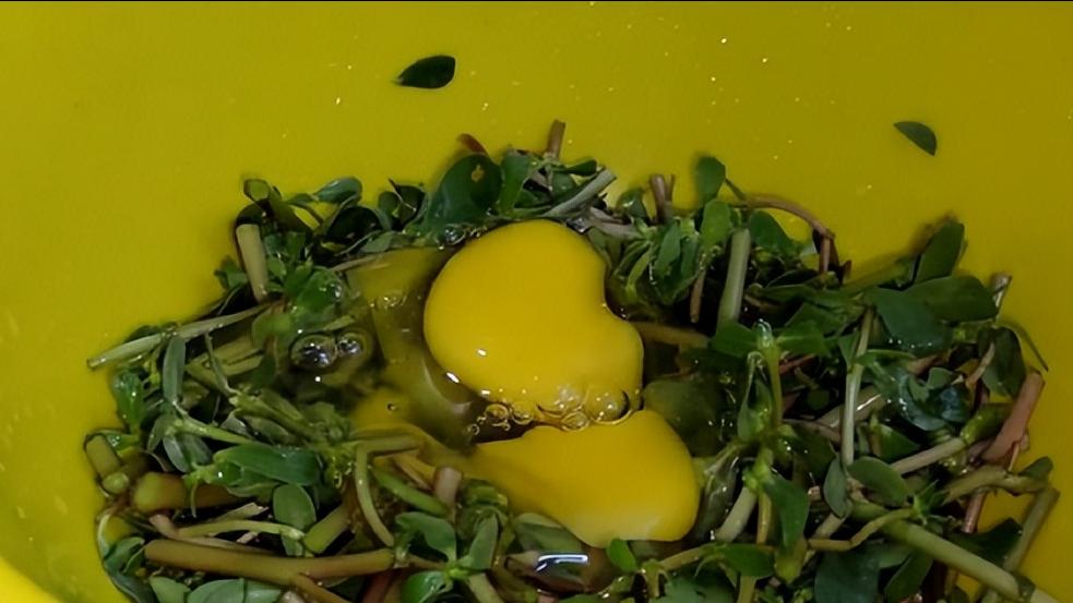 避免结节发展到癌应该多吃什么,不使结节变癌的几种不能吃的食物