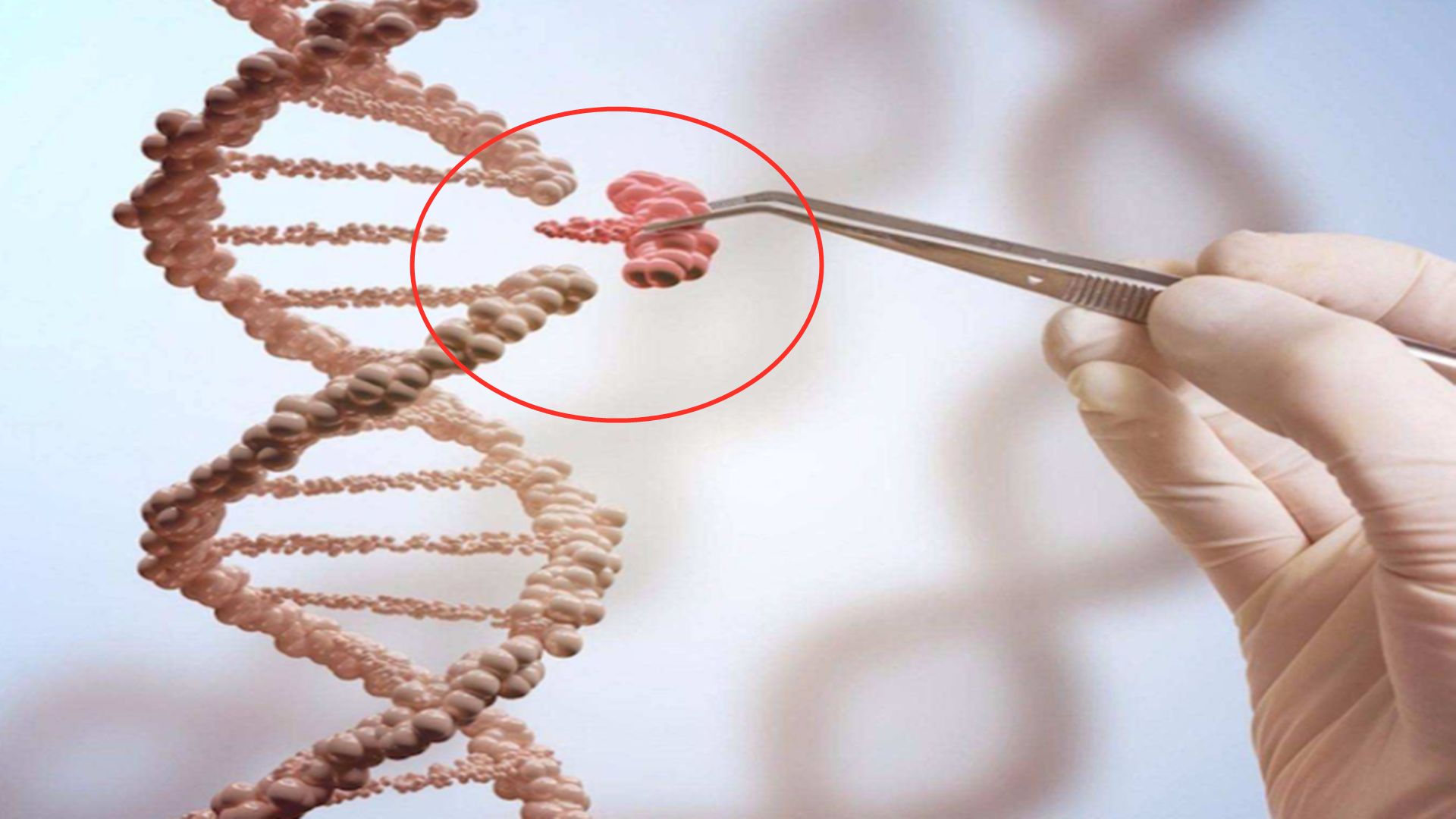 国内勃起功能障碍的治疗方法，你都了解过吗？