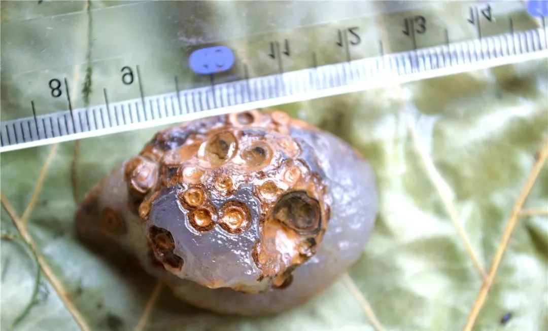 山东必去的捡石十大圣地大揭秘,戈壁滩捡石最佳地点