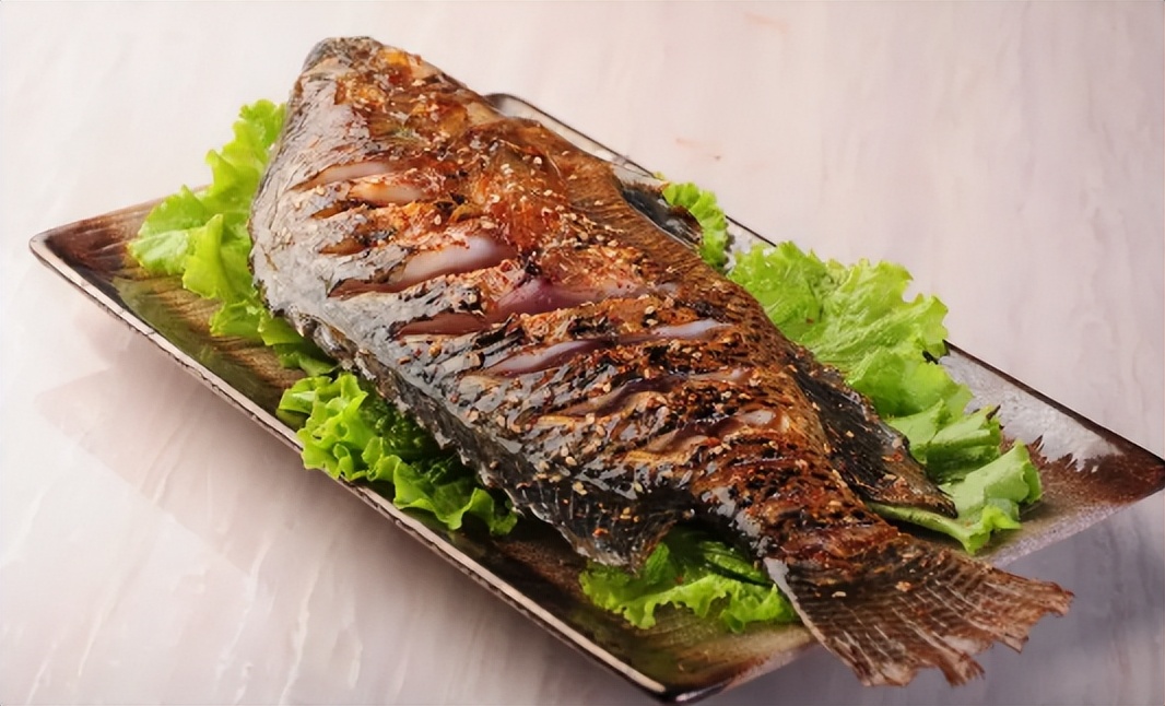 最适合广东养的淡水鱼,广东超级耐养的小型淡水鱼