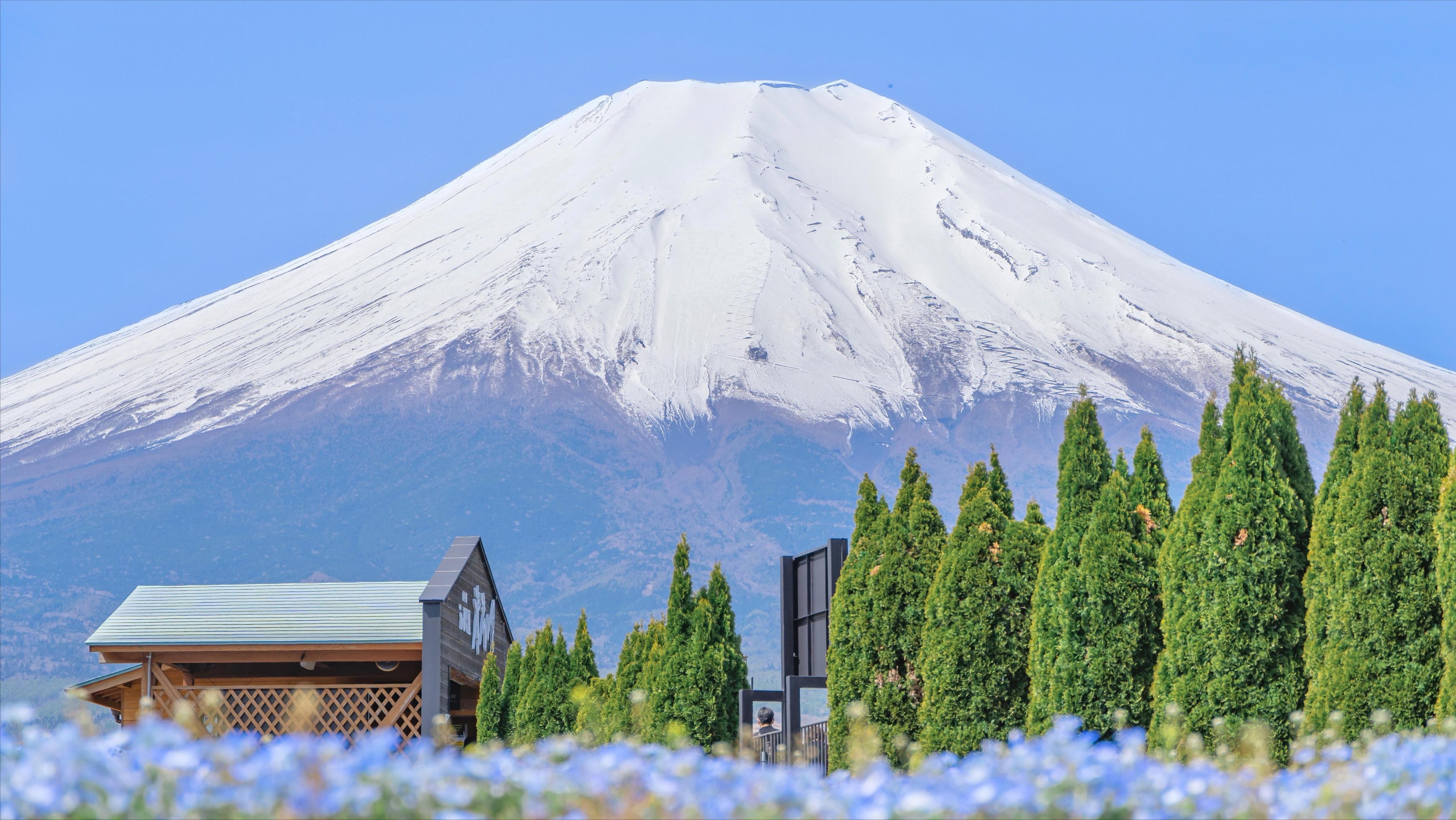 日本购买大量海外土地,日本大量在外国买地
