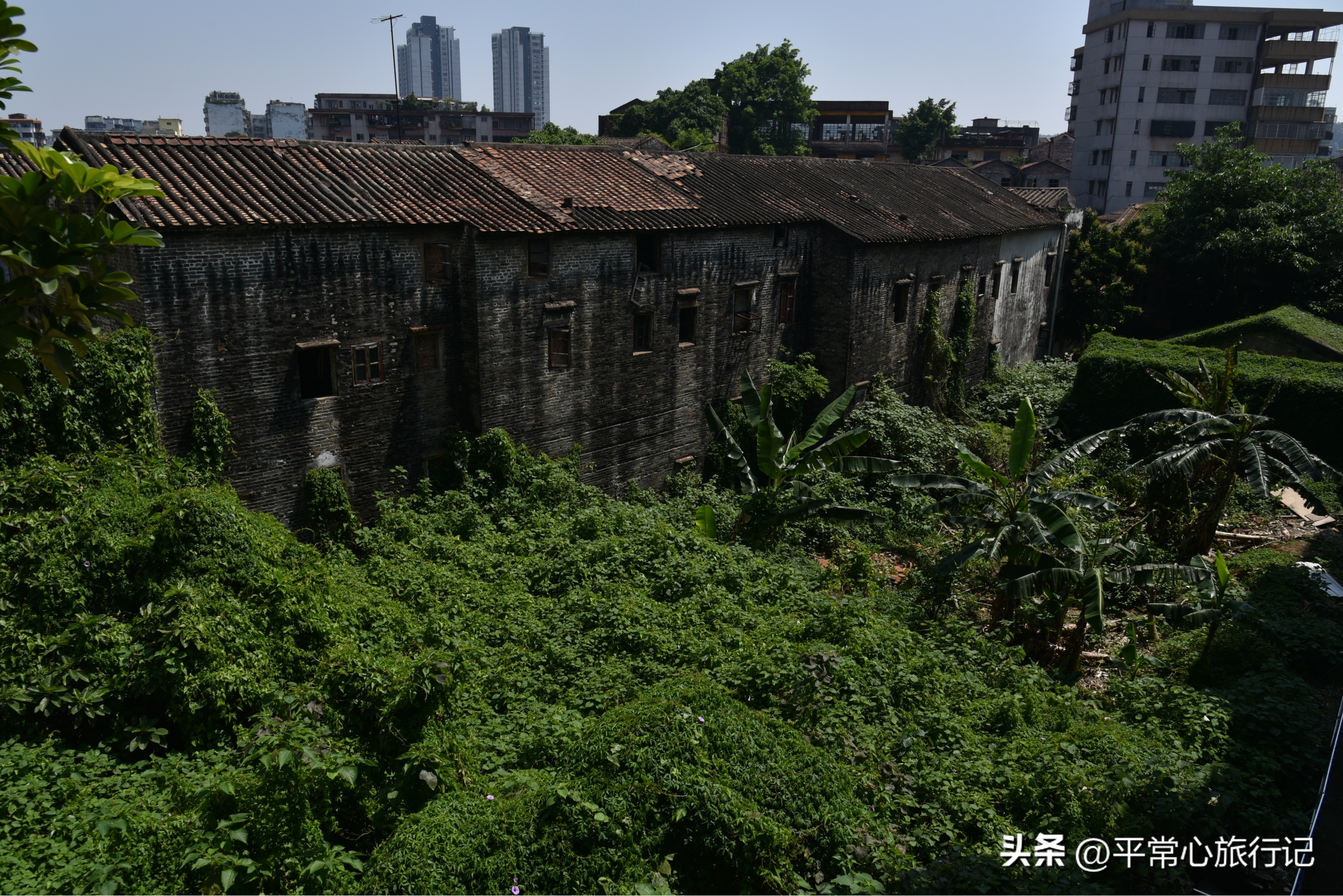 狂飙江门取景地打卡旧厂街,江门三十三墟街景点介绍