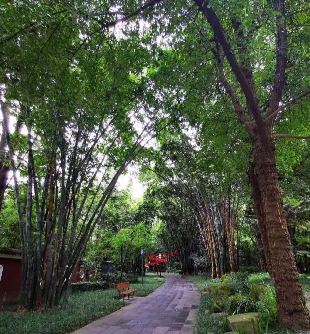 四川成都旅游攻略大全,成都旅游攻略带小孩自由行攻略