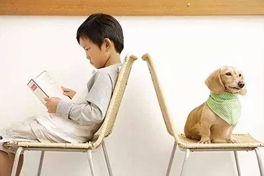 背诵古诗词提高孩子记忆力,四五岁的孩子如何快速背诵古诗词