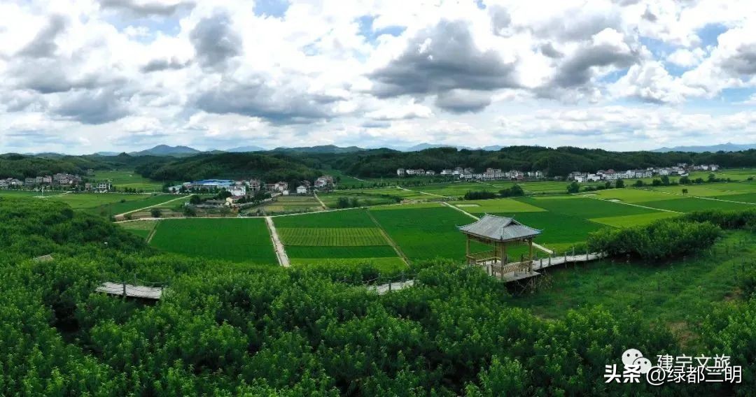 缤纷水果季即将开始！来建宁释放夏日多巴胺