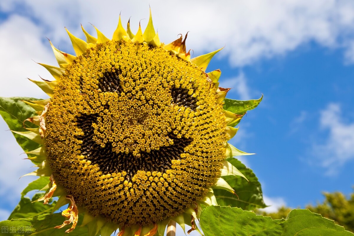 总是莫名的不开心怎么办,总是有点不开心