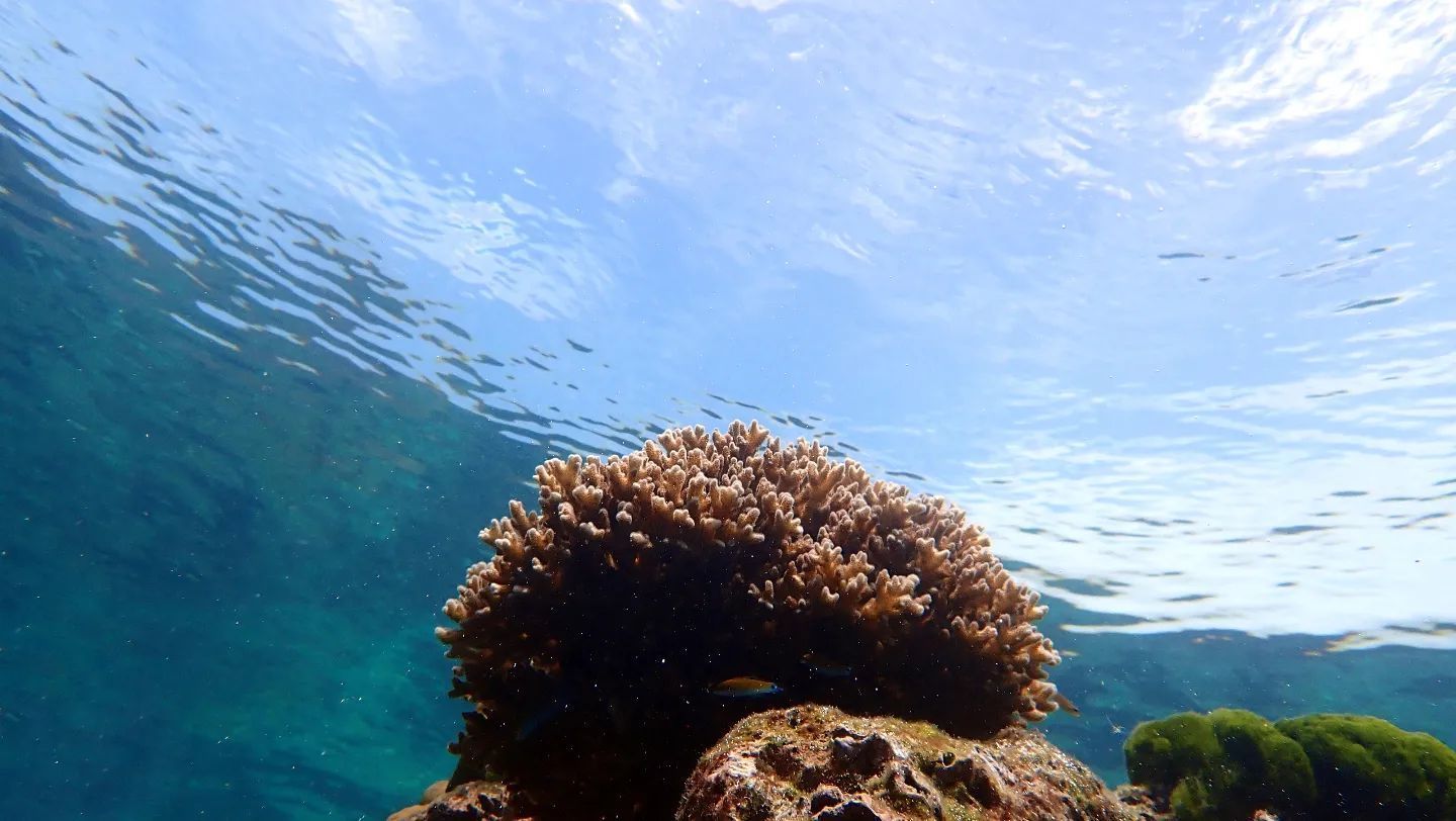 普吉岛nuibeach浮潜,普吉岛浮潜最好的地方在哪里