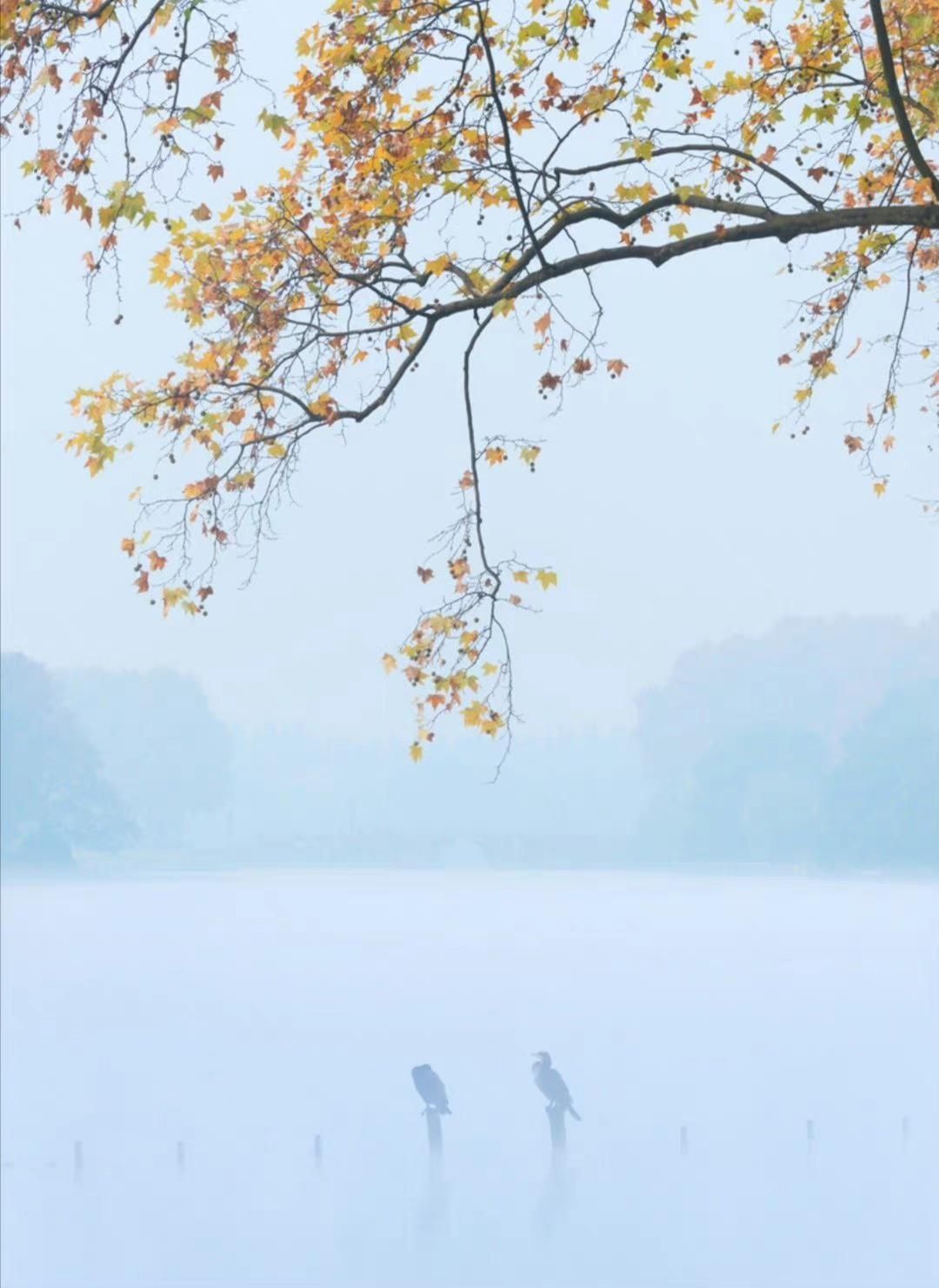 形容孤独寂寞的诗词句子,耐得住寂寞的经典诗词