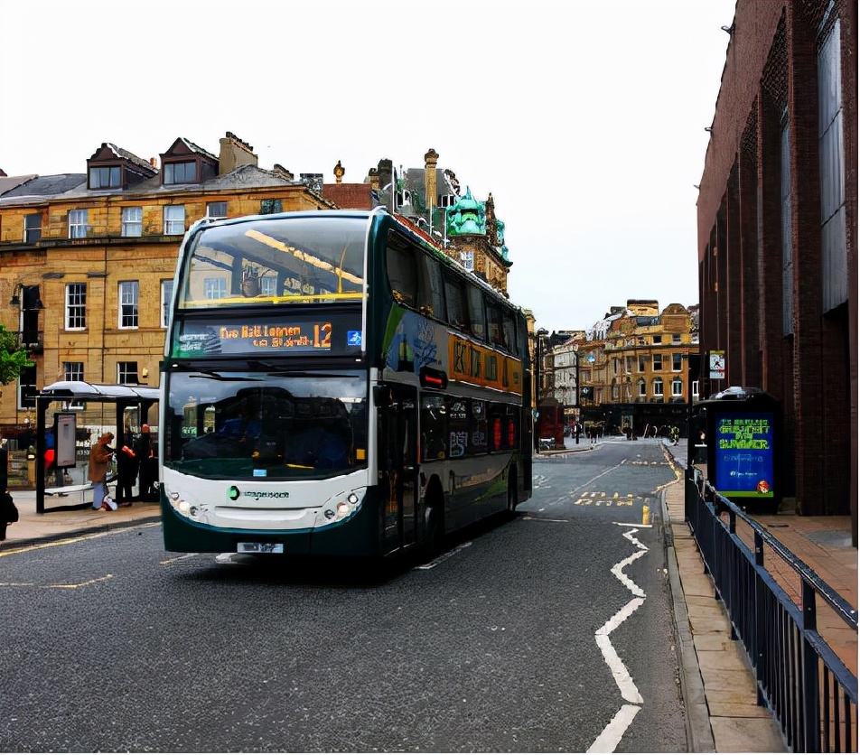 留学生眼中的中国乡村,英国东北留学生
