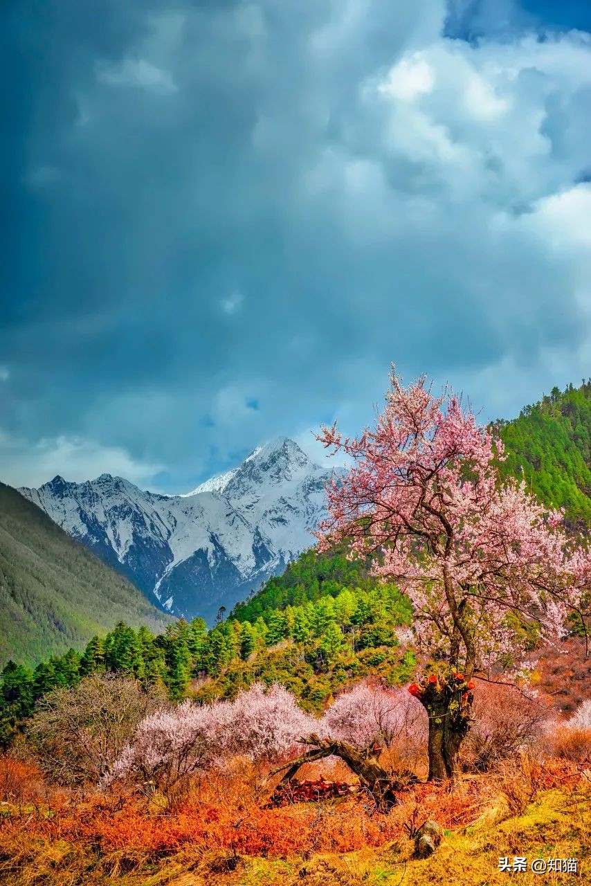 cnn最美旅游胜地,cnn评选中国40景点