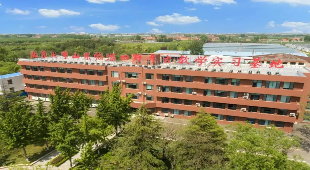 考古攻略旅游必备,淄博一日游最佳景点一览表