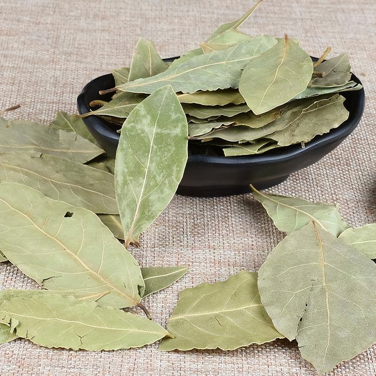 老人家床上很多跳蚤怎么处理,怎么处理床上的跳蚤