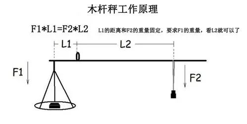 玩转科技馆|“杆秤的秘密”