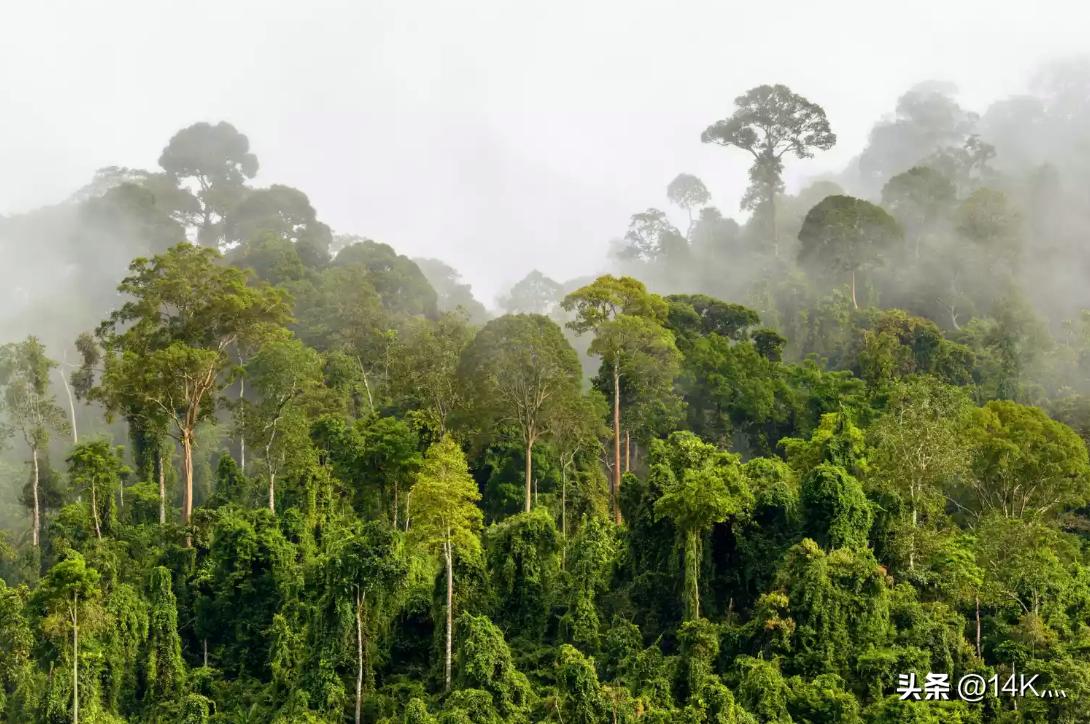 新疆诡事昆仑篇3,新疆诡事录昆仑篇20集