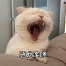 一分钟看懂电脑冷知识,不可不知的3个电脑冷知识