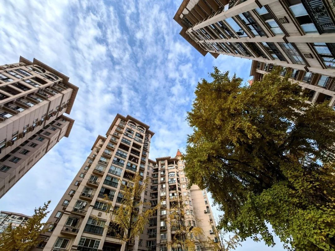 曼肯灵明测评,曼肯灵明mini女神版150评测