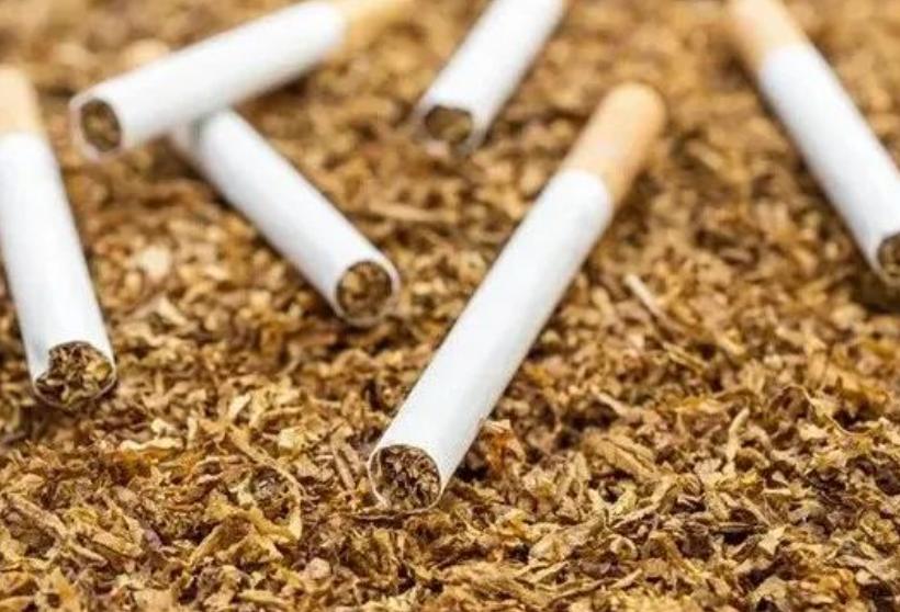 福建省造假烟是哪个县,造假烟比真烟还牛的地方