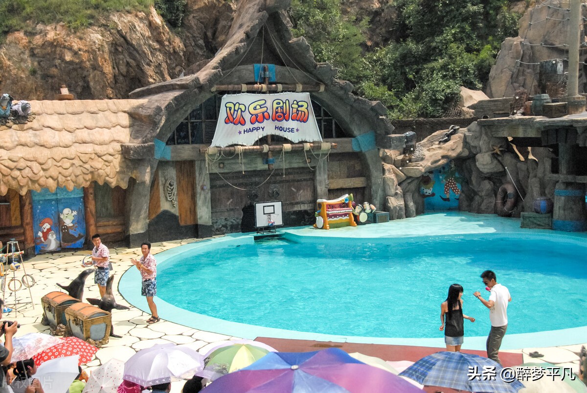 大连老虎滩海洋公园极地馆视频,大连老虎滩海洋公园和发现王国