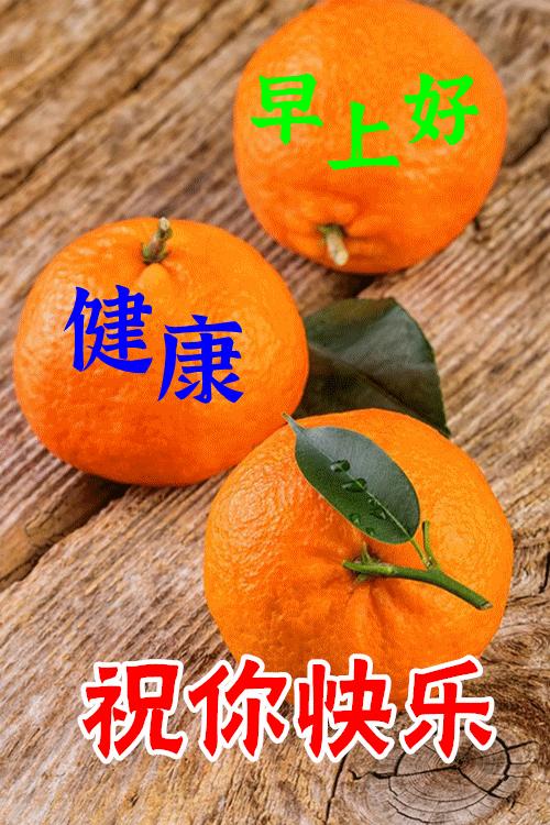 春天早晨好高级图片,春天早上好暖心祝福语图片