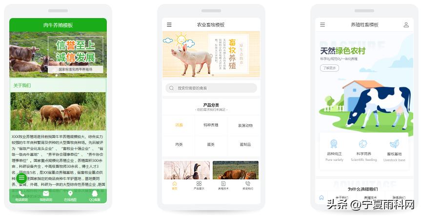 养殖行业网站建设宣传,畜牧业网站建设