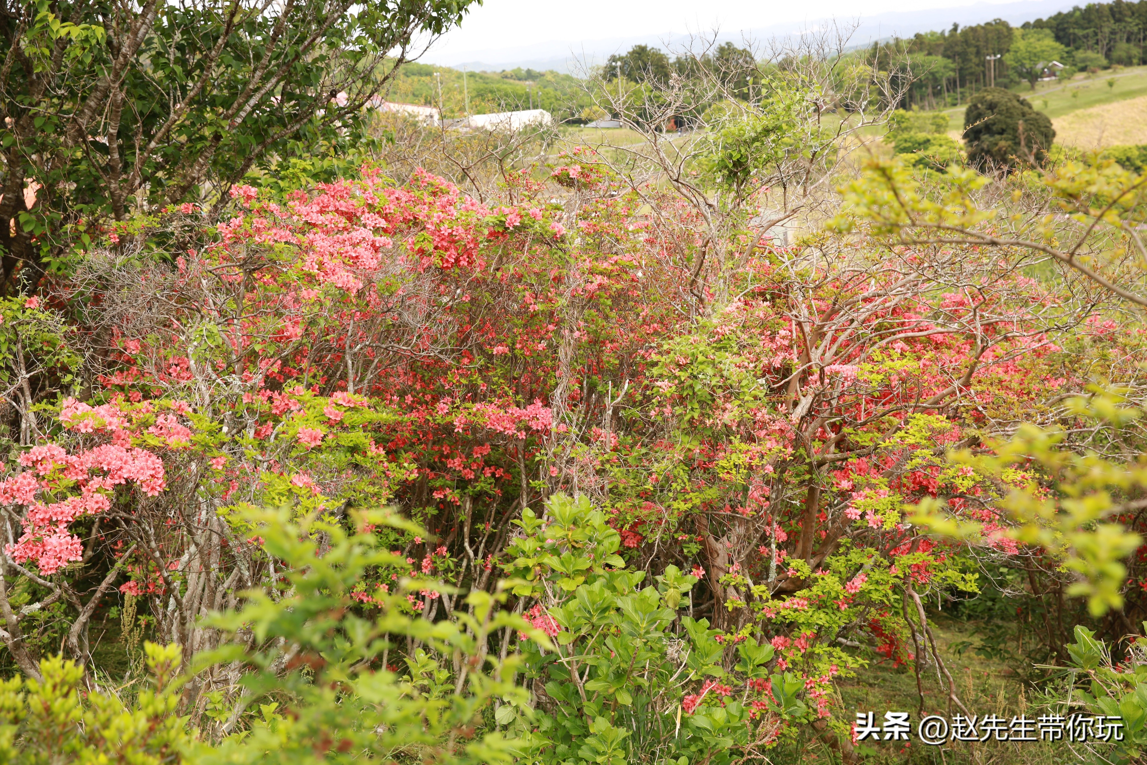 20年旅行总结,二十年游历分享