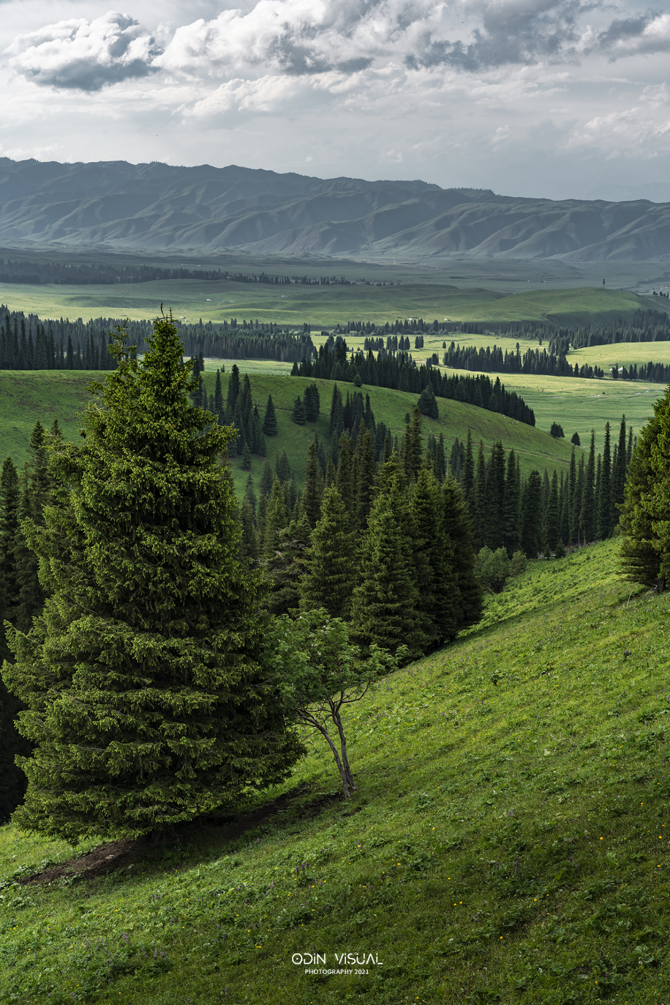 去新疆发现伊犁的美,世界之美尽在伊犁