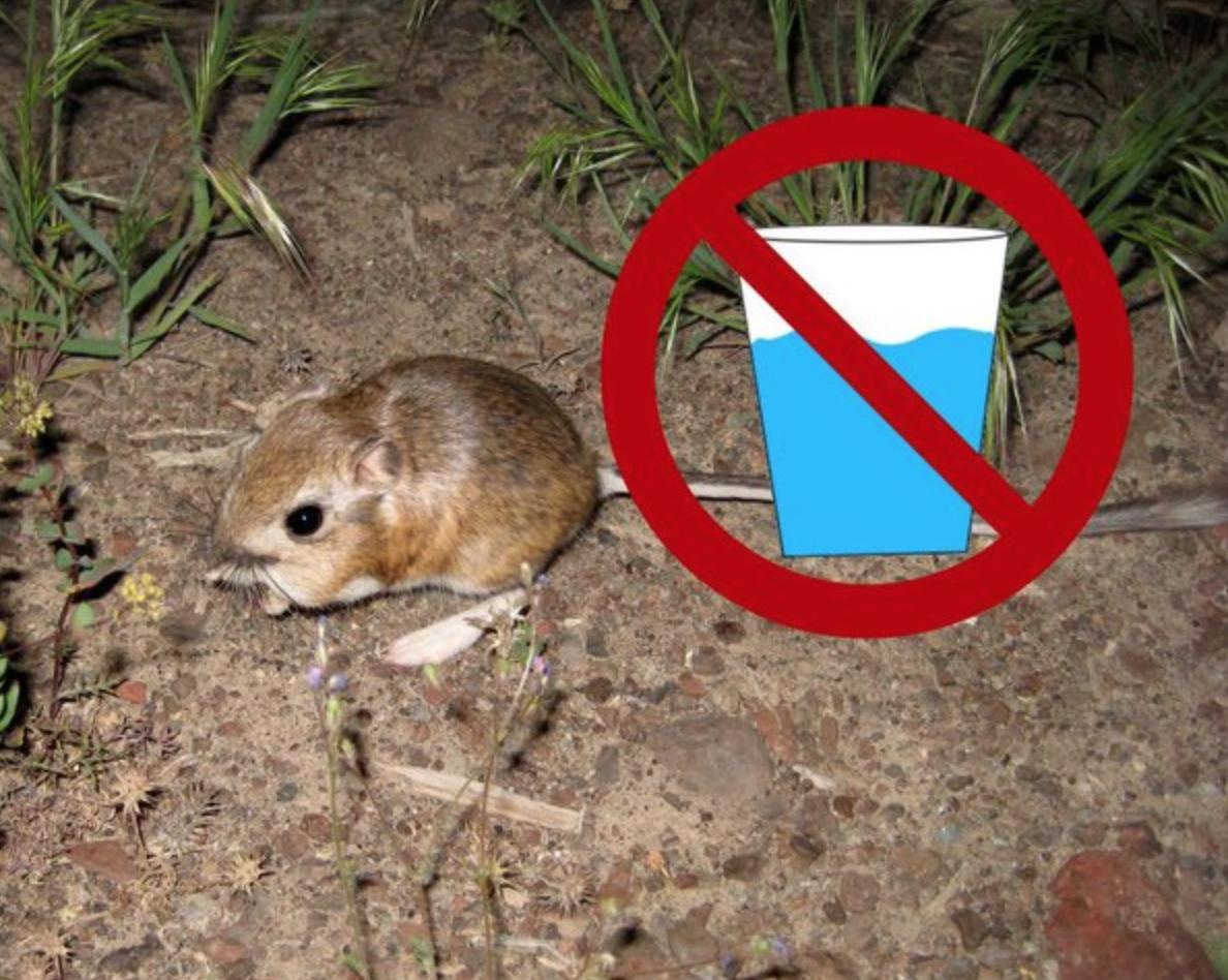 世界上有超自然生物吗,世界上真的有超自然的存在吗