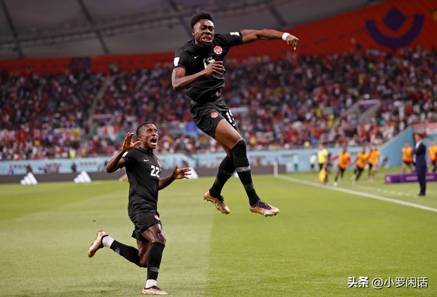 世界杯32支球队全家福,世界杯集锦24