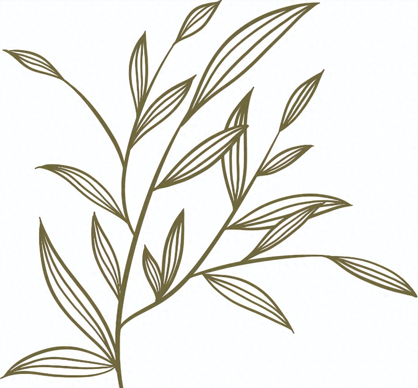 两个家庭的第三次家庭治疗｜研修班“临床案例带教”分享