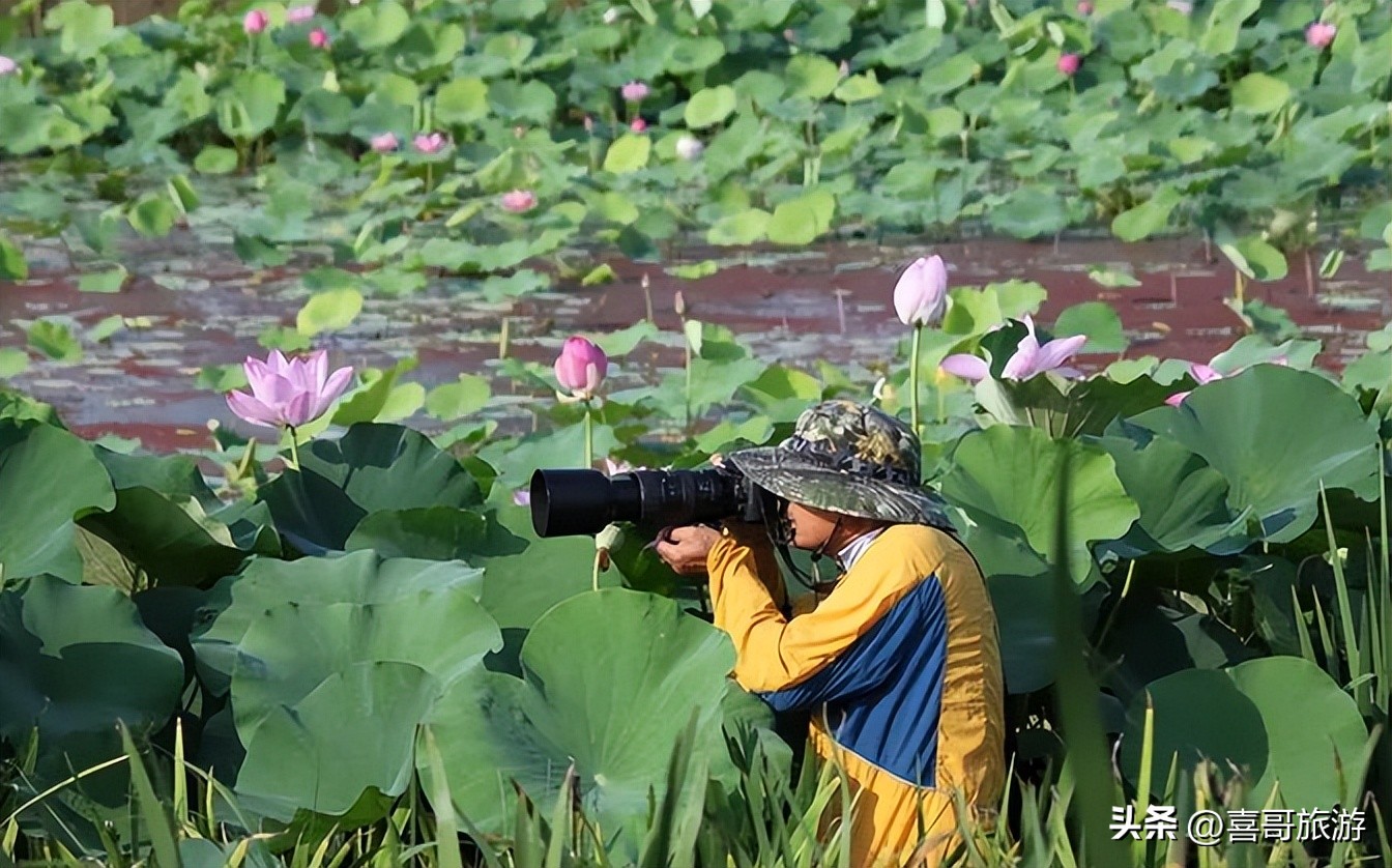幻塔人工岛风景点位置在哪里,幻塔人工岛怎么去