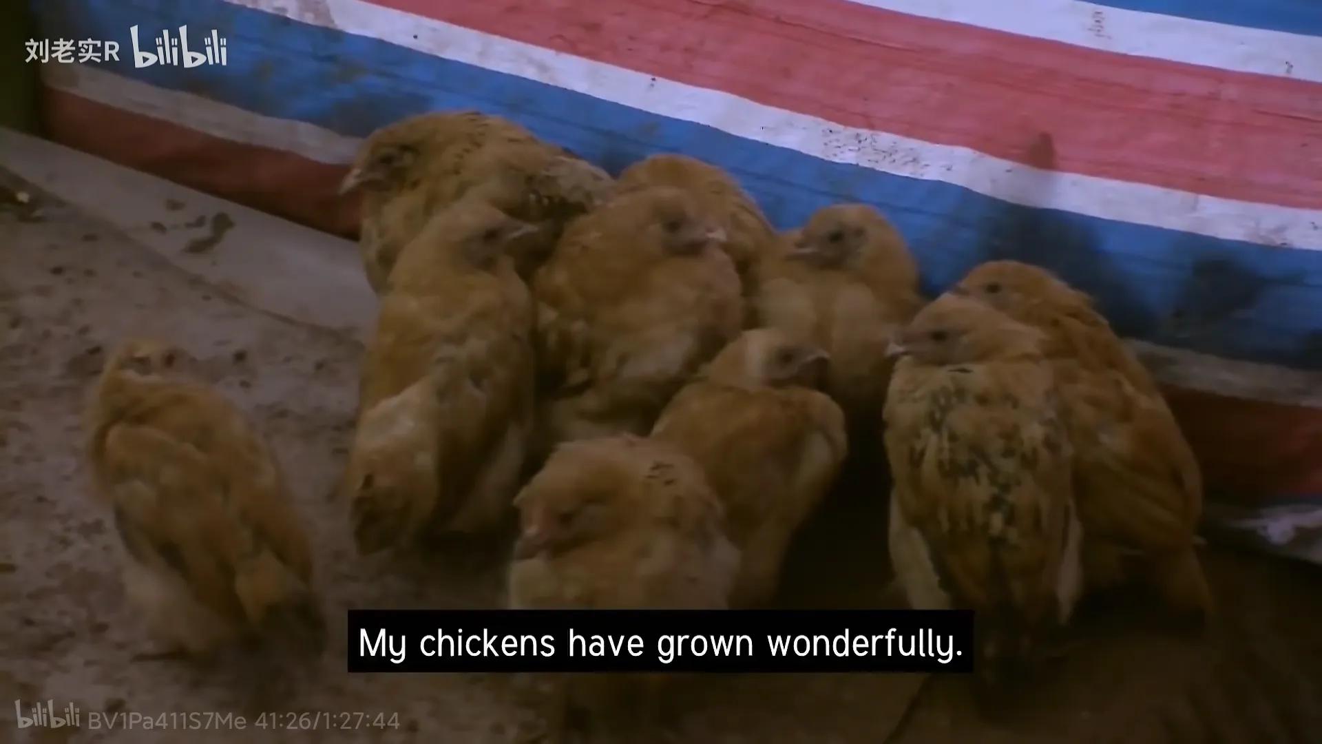 二毛纪录片回村,纪录片二毛摘假体