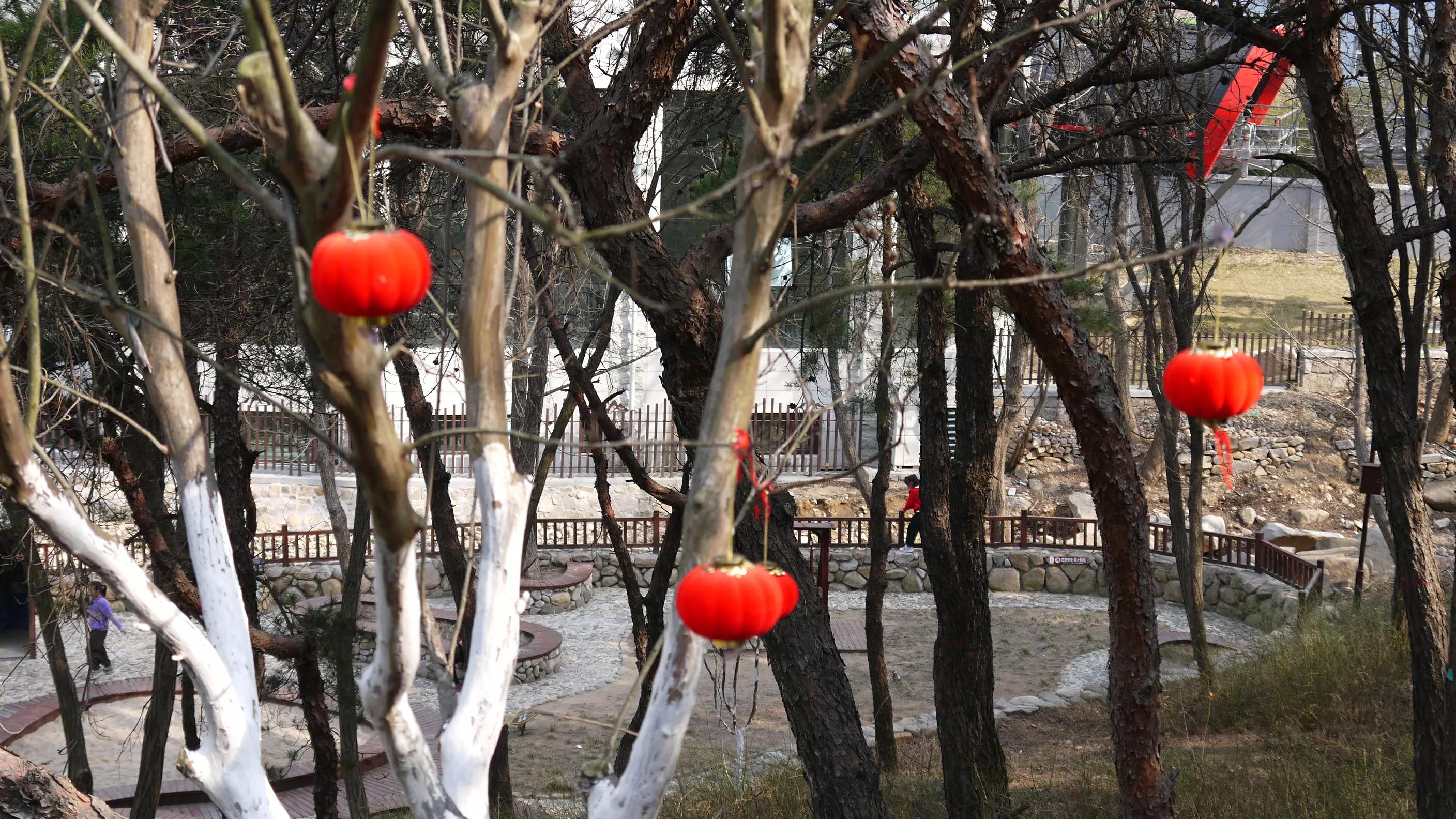 闈掑矝浠板彛鏅尯鍐ぉ,闈掑矝浠板彛鏅尯鎵撳崱