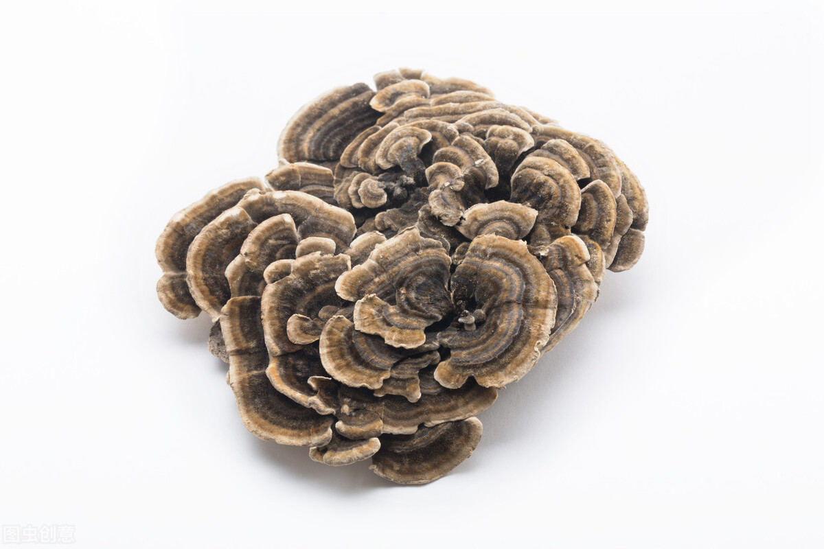 中医带下病案例完整,女性带下湿热吃什么中成药