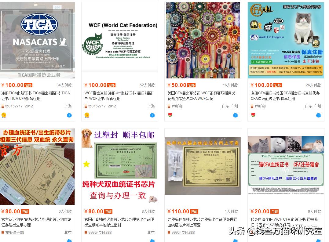 买猫防坑指南,新手买猫要买哪几种猫