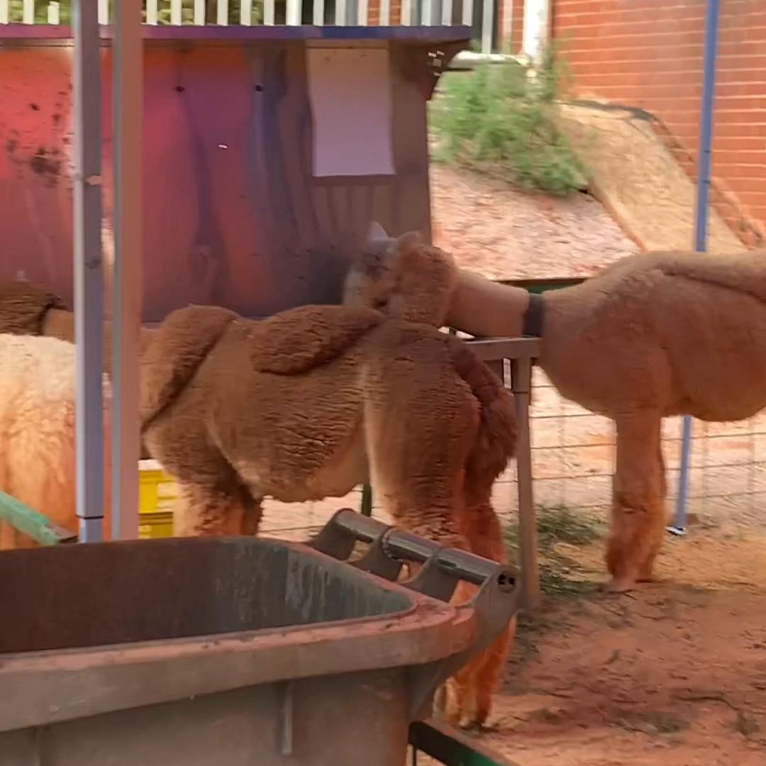 重返杨林，谨以此视频纪念我的三年青春！#回忆