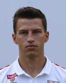 足球小国系列,二:带你了解奥地利的球星们