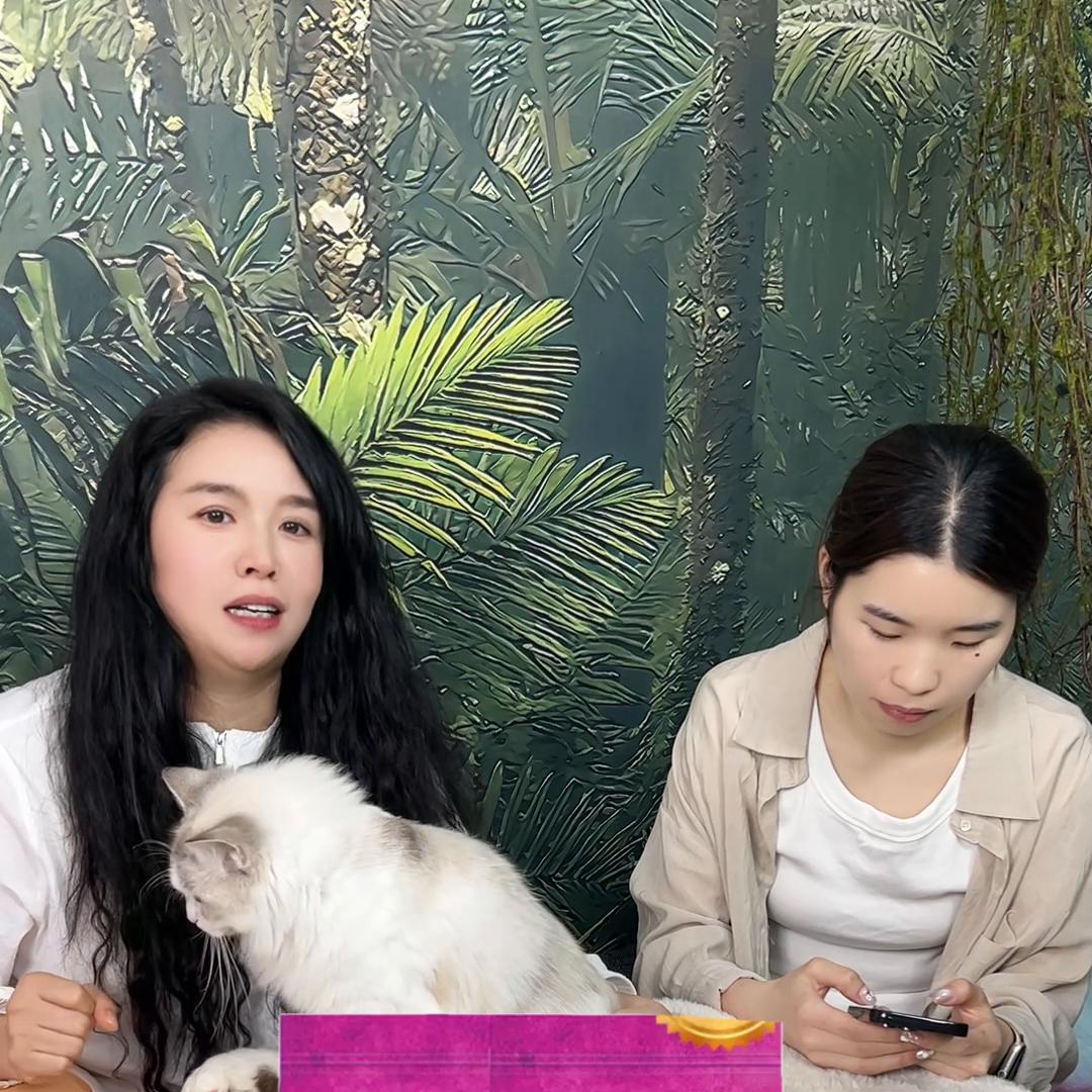 不知道品种怎么买猫粮,不知道选什么奶粉