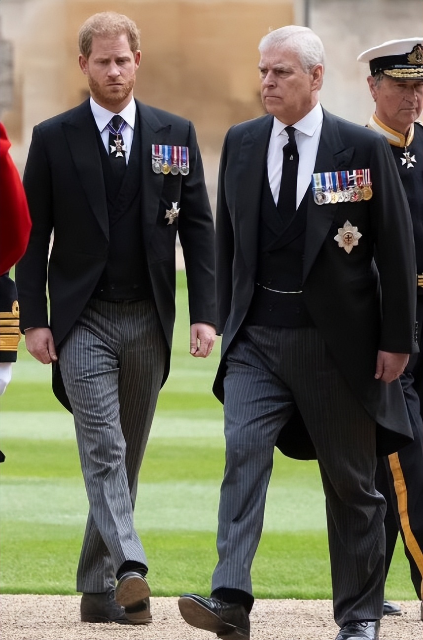 查尔斯三世继位哈里来了吗,查尔斯三世准备传位威廉